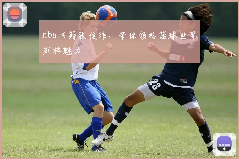 nba书籍张佳玮，带你领略篮球世界别样魅力