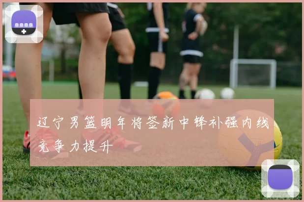 辽宁男篮明年将签新中锋补强内线竞争力提升