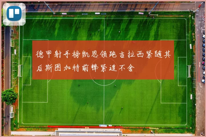 德甲射手榜凯恩领跑吉拉西紧随其后斯图加特前锋紧追不舍