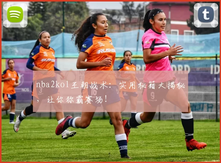 nba2kol王朝战术：实用秘籍大揭秘，让你称霸赛场！